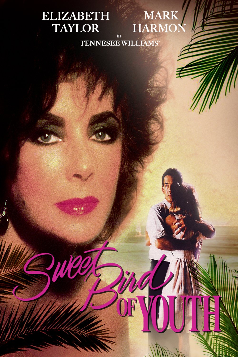 Poster of the movie Sweet Bird of Youth