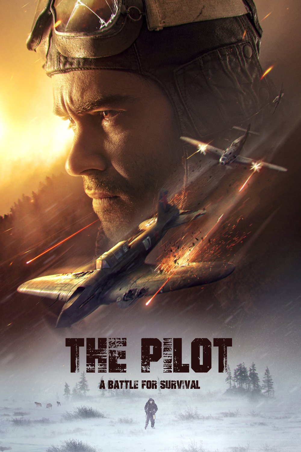 L'affiche du film The Pilot. A Battle for Survival