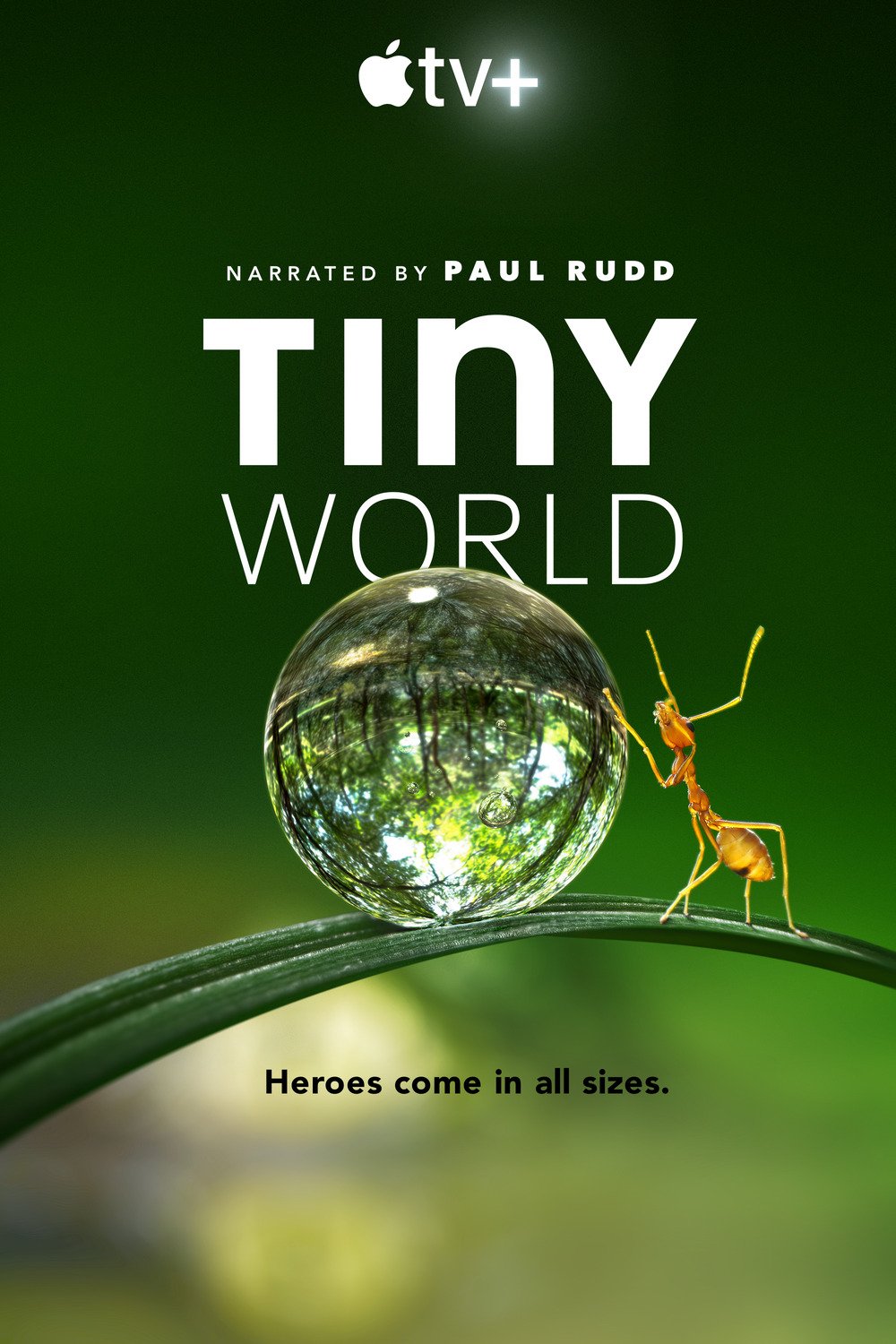 L'affiche du film Tiny World