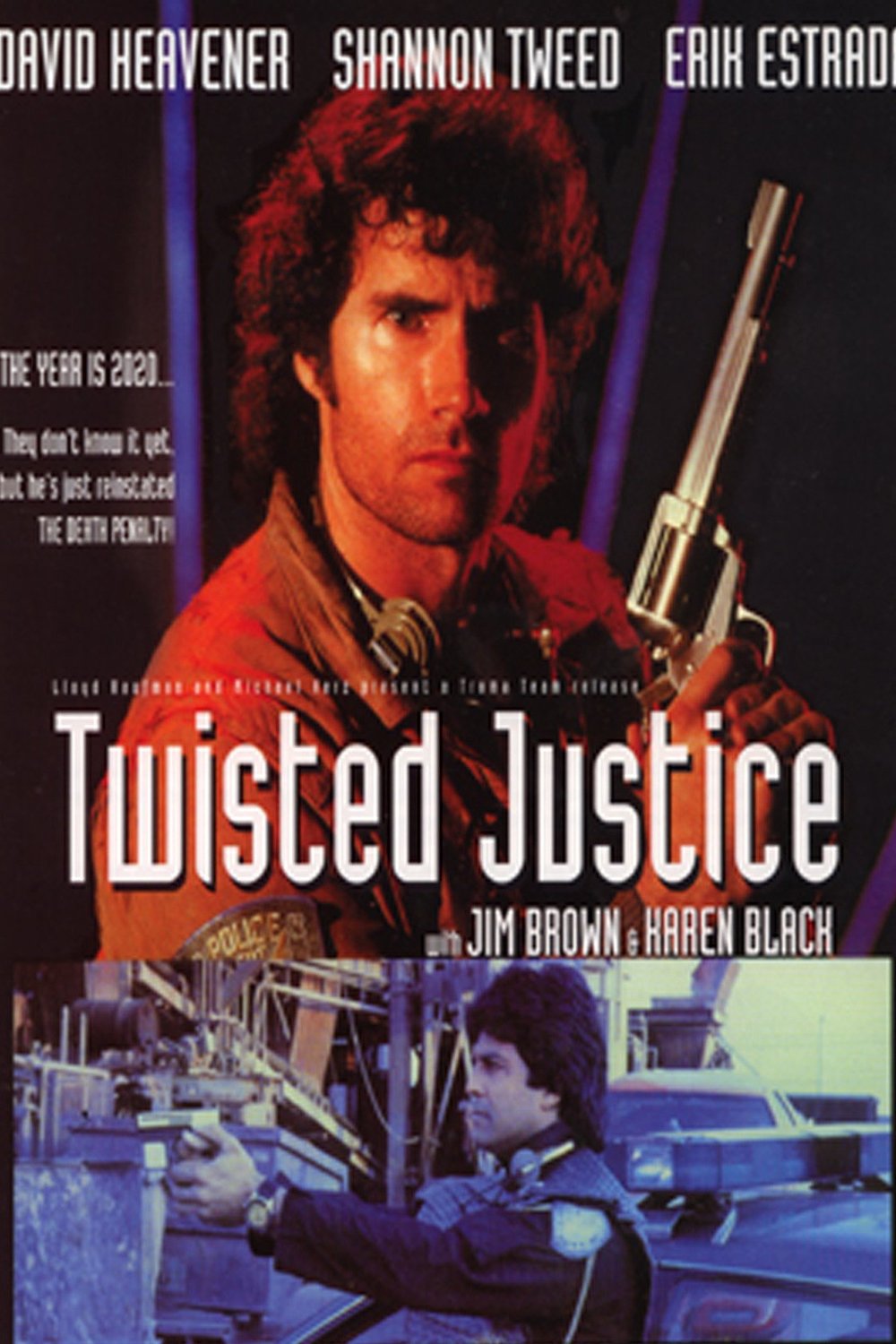 L'affiche du film Twisted Justice