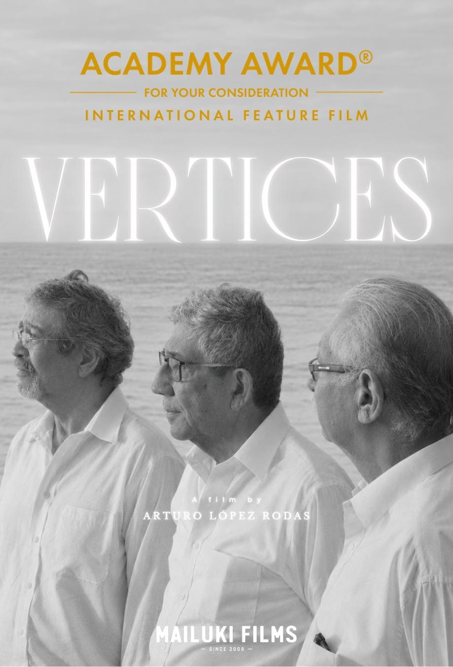 Poster of the movie Vértices [2025]