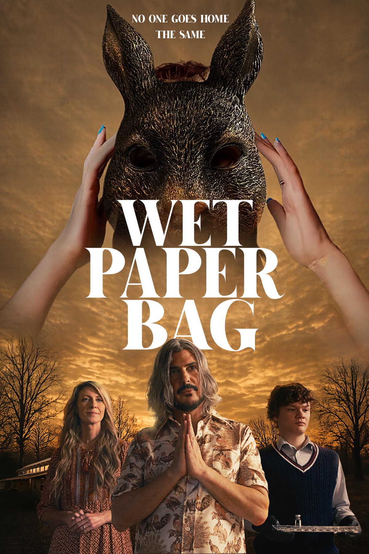 Poster of the movie Wet Paper Bag [2026]