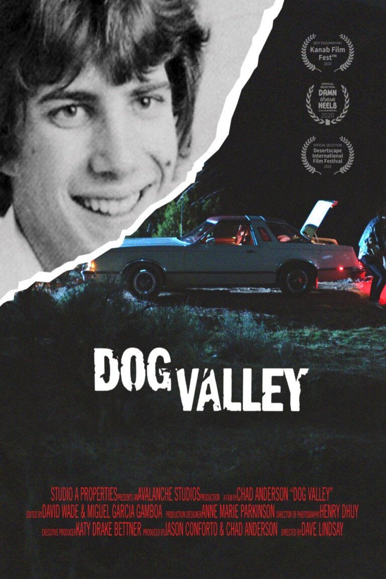 L'affiche du film Dog Valley [2020]