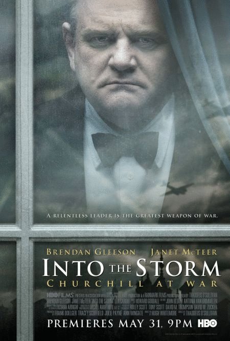 Poster of the movie Into the Storm: Churchill at War