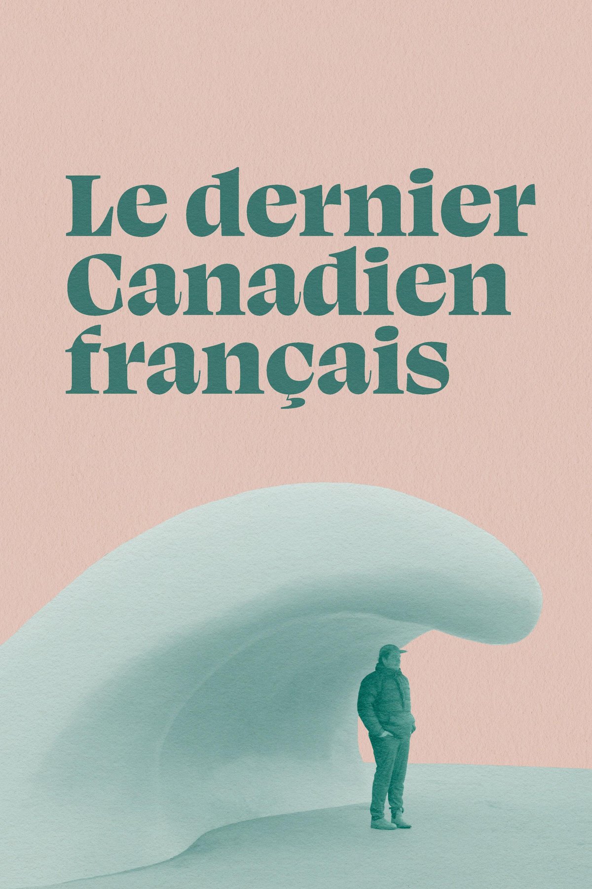 L'affiche du film Le dernier Canadien français