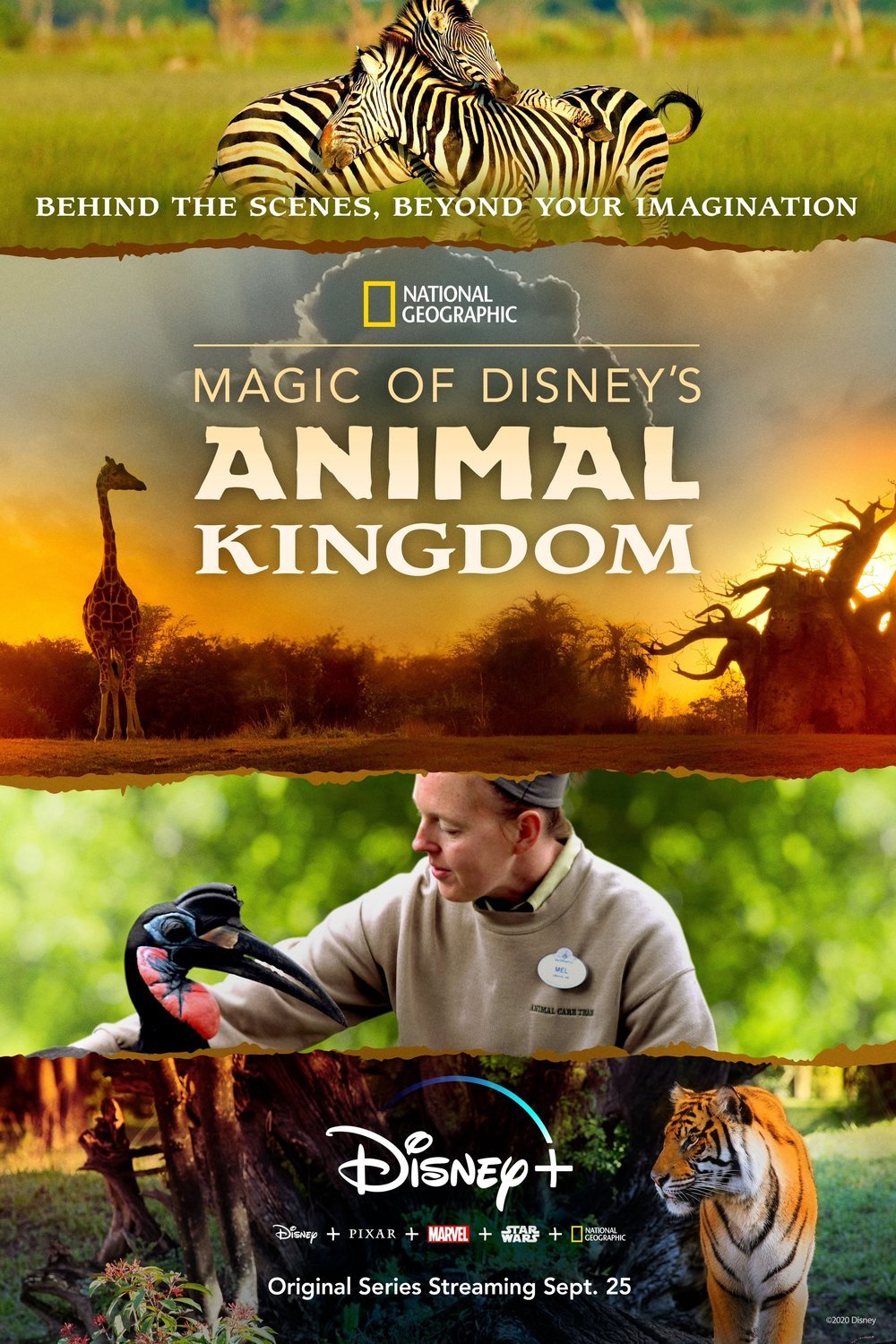 L'affiche du film Magic of Disney's Animal Kingdom
