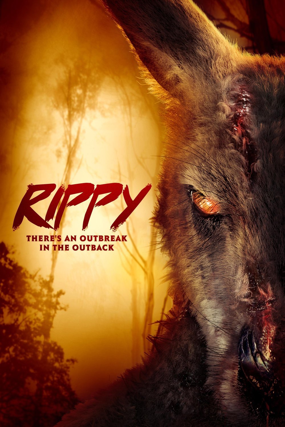 L'affiche du film Rippy