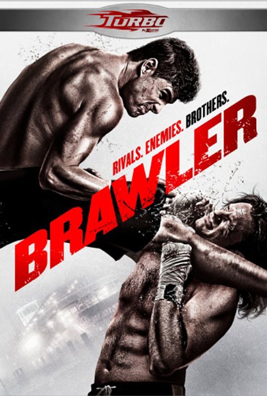 L'affiche du film Brawler