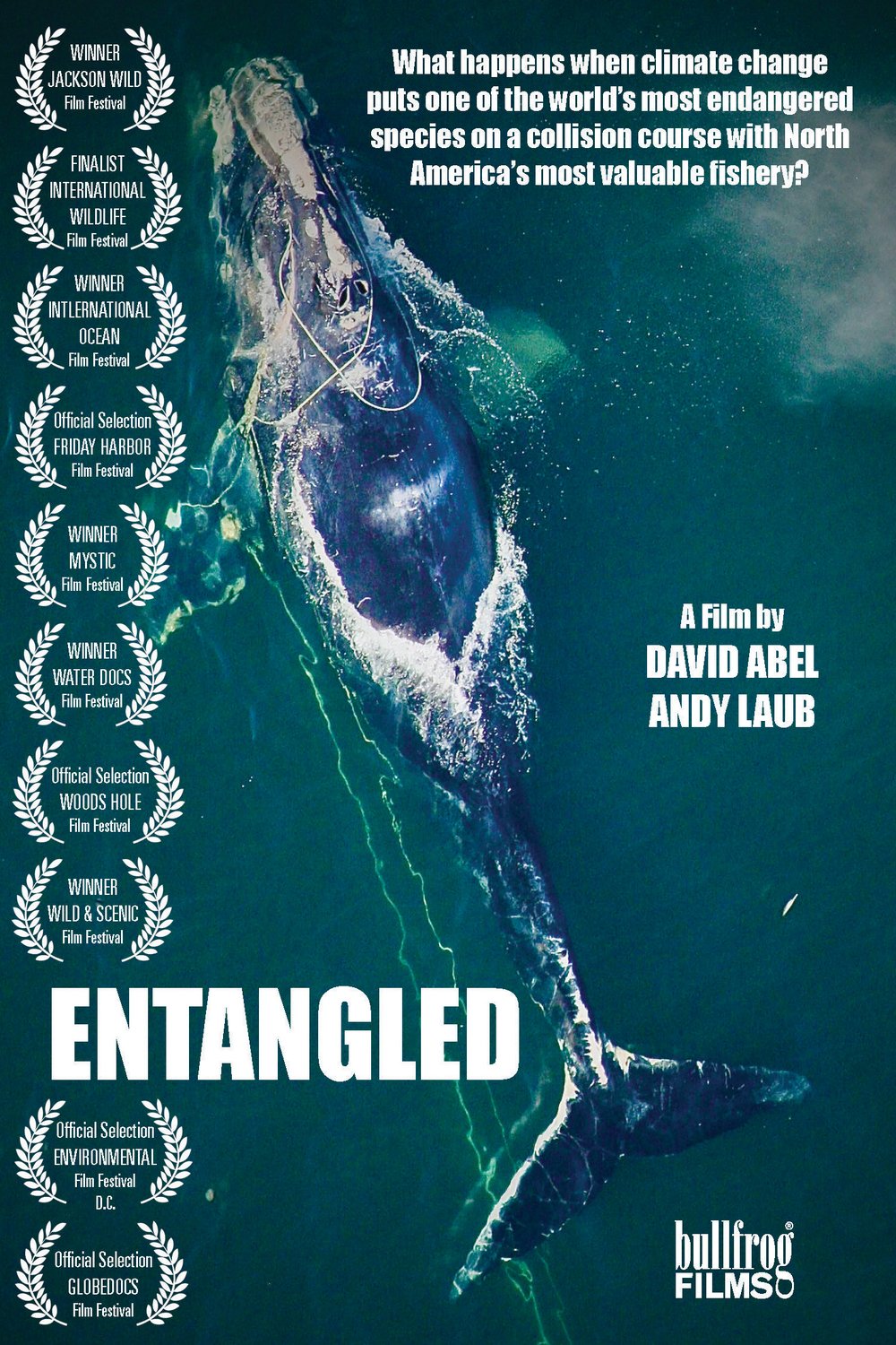 Poster of the movie Entangled