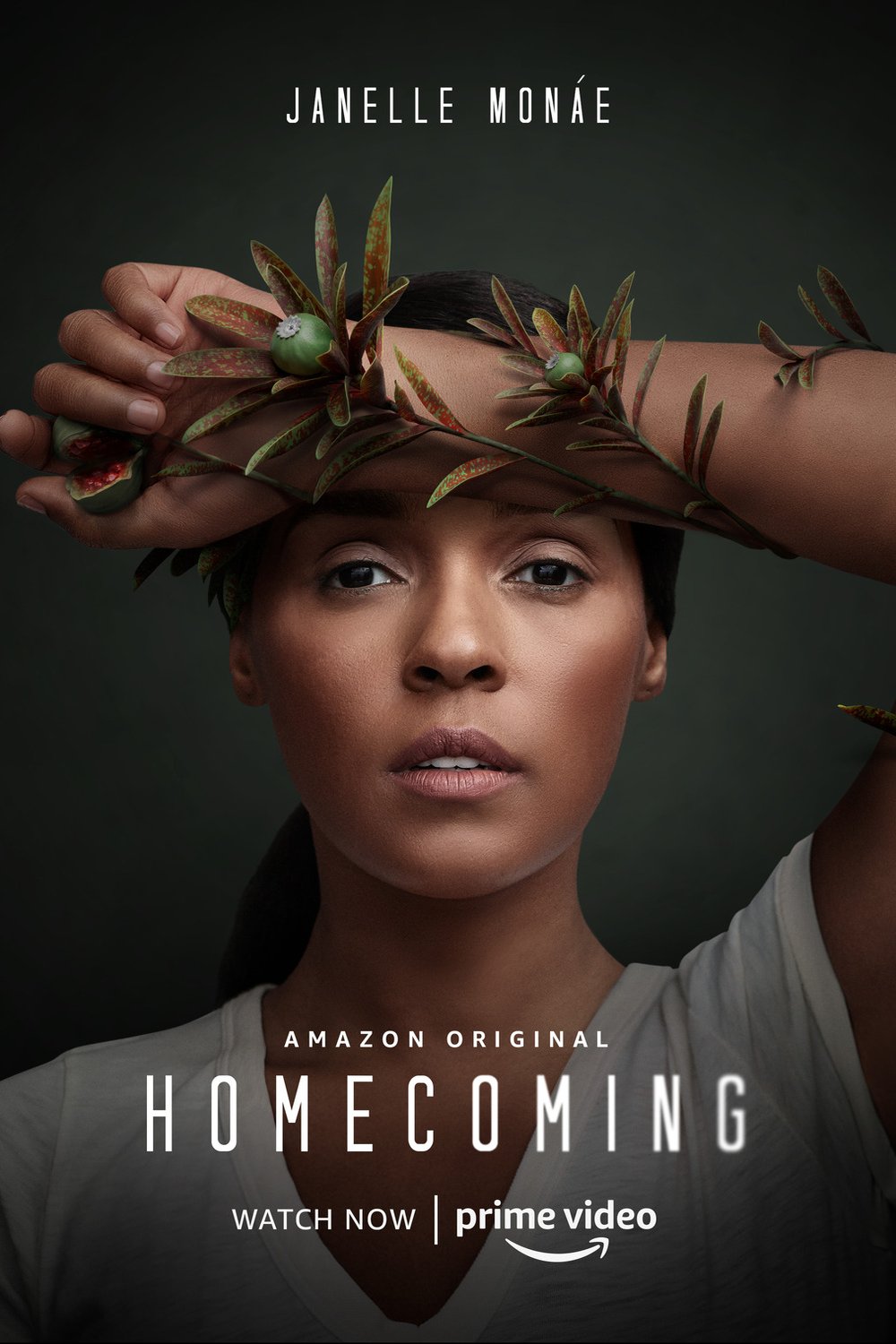 Poster of the movie Homecoming
