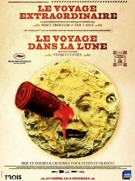 Poster of the movie The Extraordinary Voyage