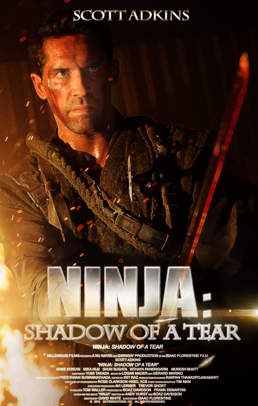 L'affiche du film Ninja: Shadow of a Tear [2013]