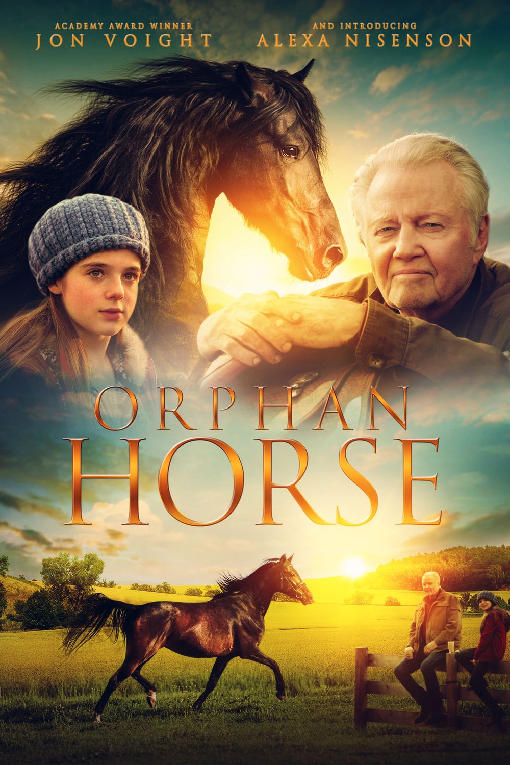 Poster of the movie Orphan Horse