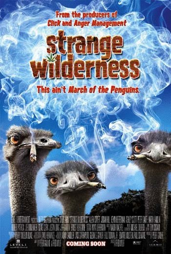 L'affiche du film Strange Wilderness