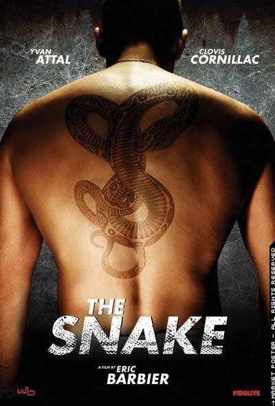 L'affiche du film The Snake
