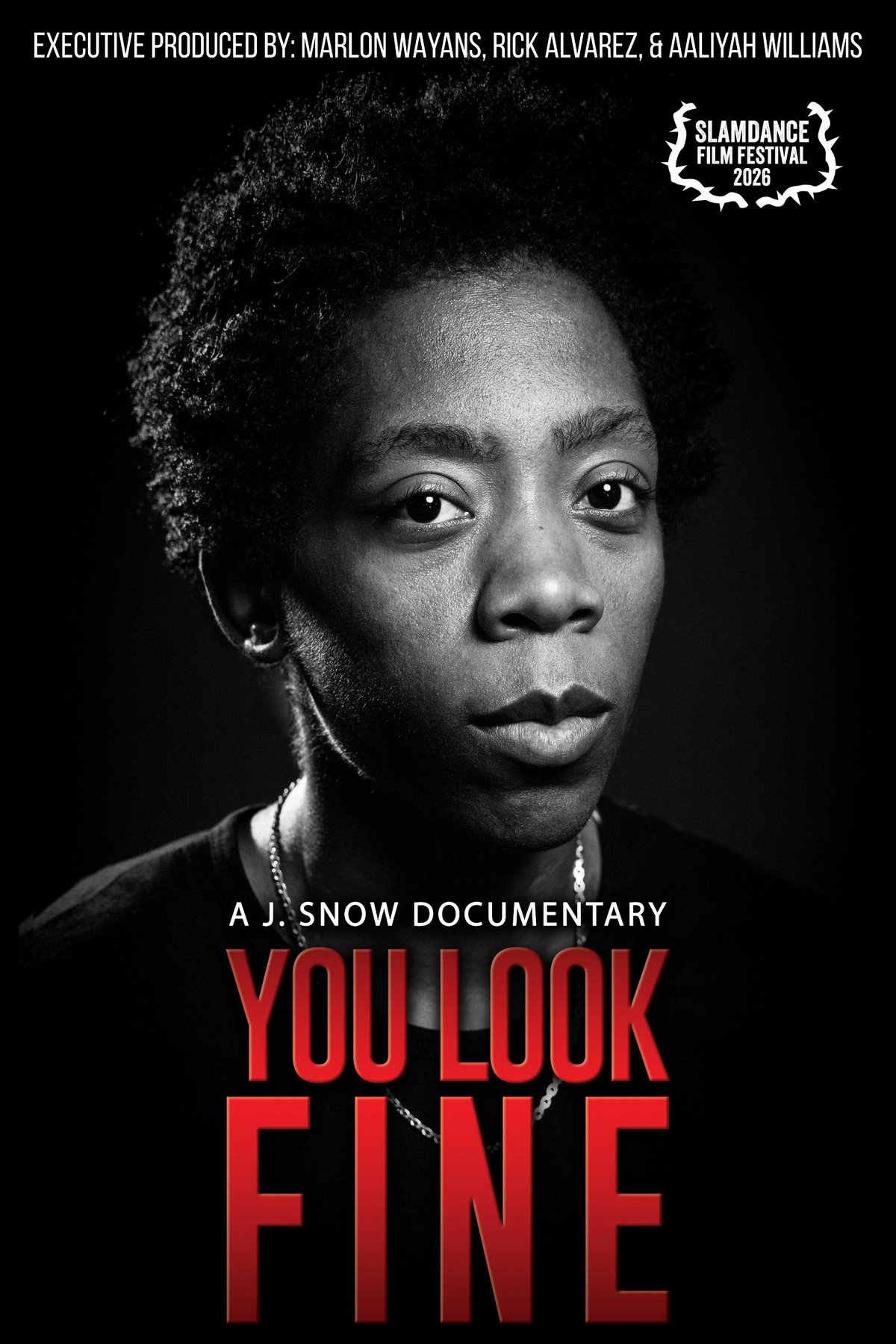 Poster of the movie You Look Fine [2025]