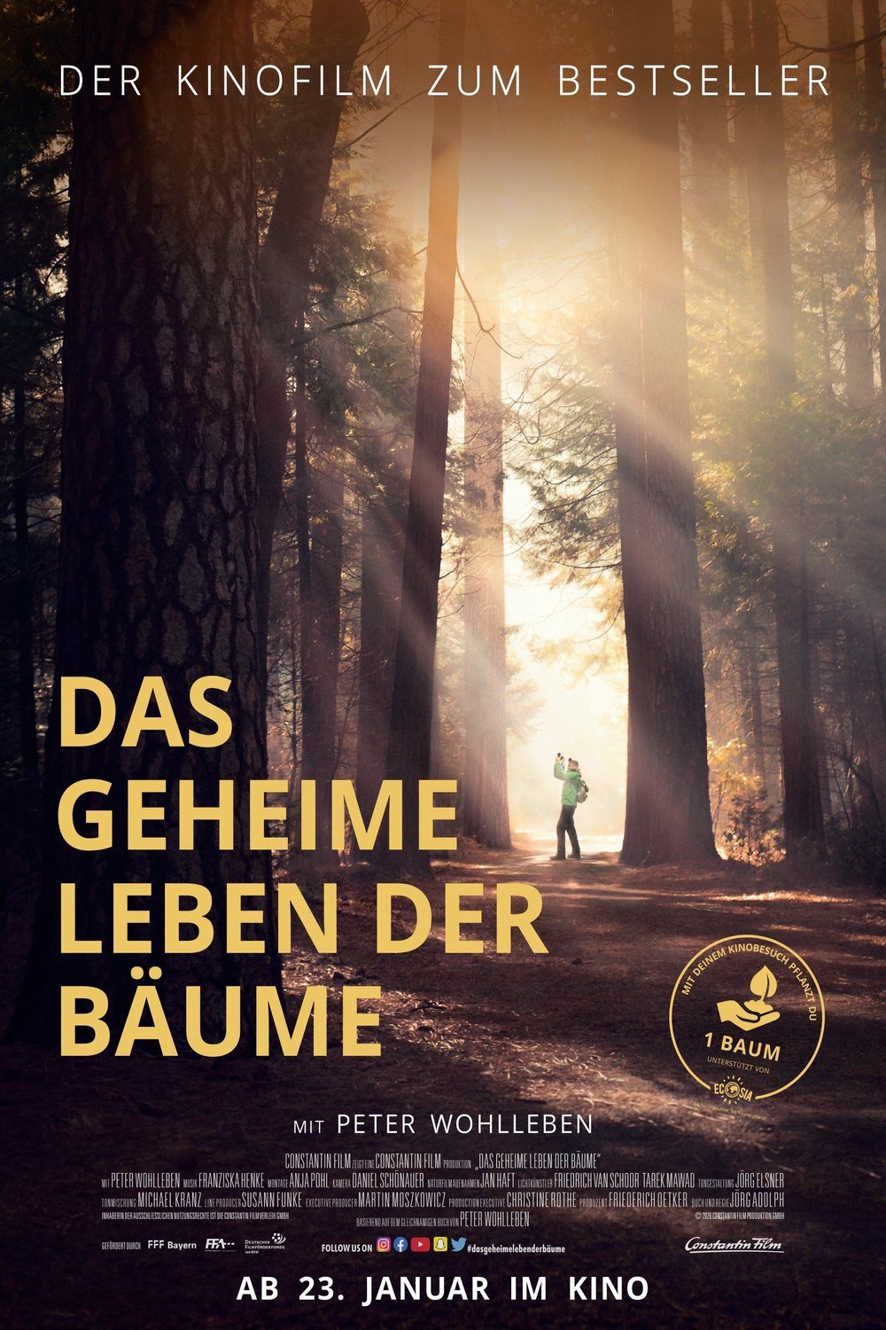 L'affiche originale du film Das geheime Leben der Bäume en allemand