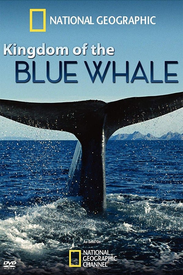 L'affiche du film Kingdom of the Blue Whale