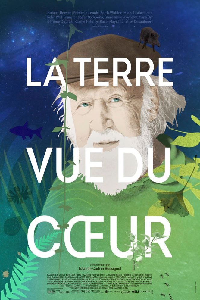 L'affiche du film La Terre vue du coeur