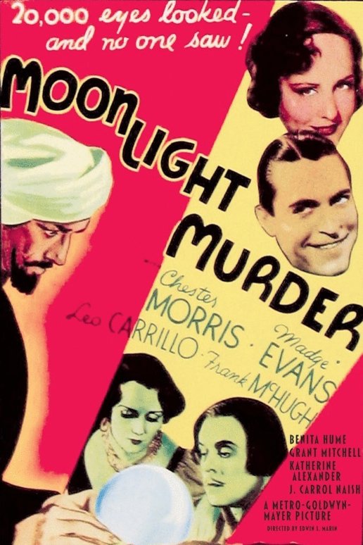 L'affiche du film Moonlight Murder