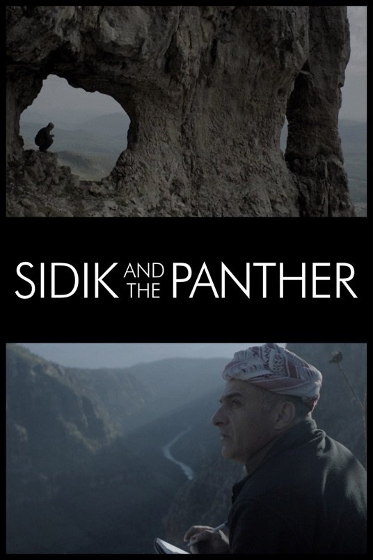 L'affiche du film Sidik and the Panther