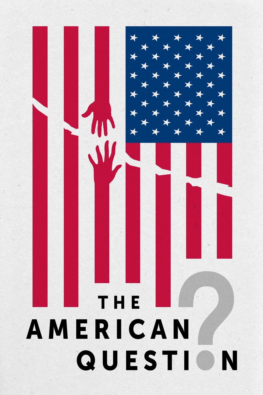 Poster of the movie The American Question [2024]