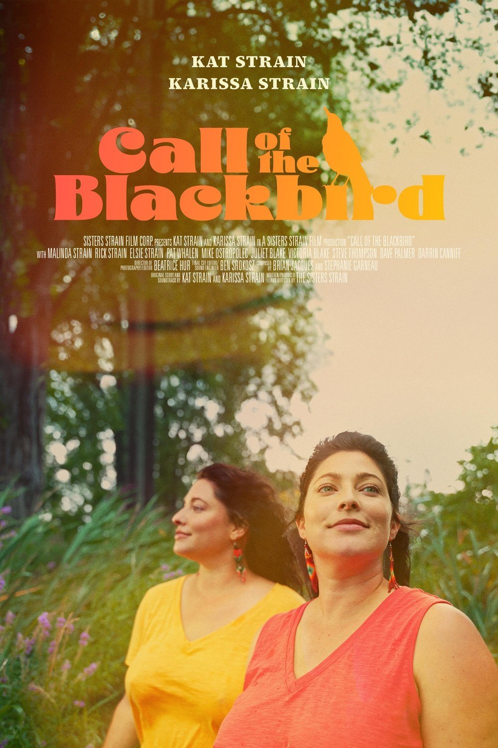 Poster of the movie Call of the Blackbird [2025]