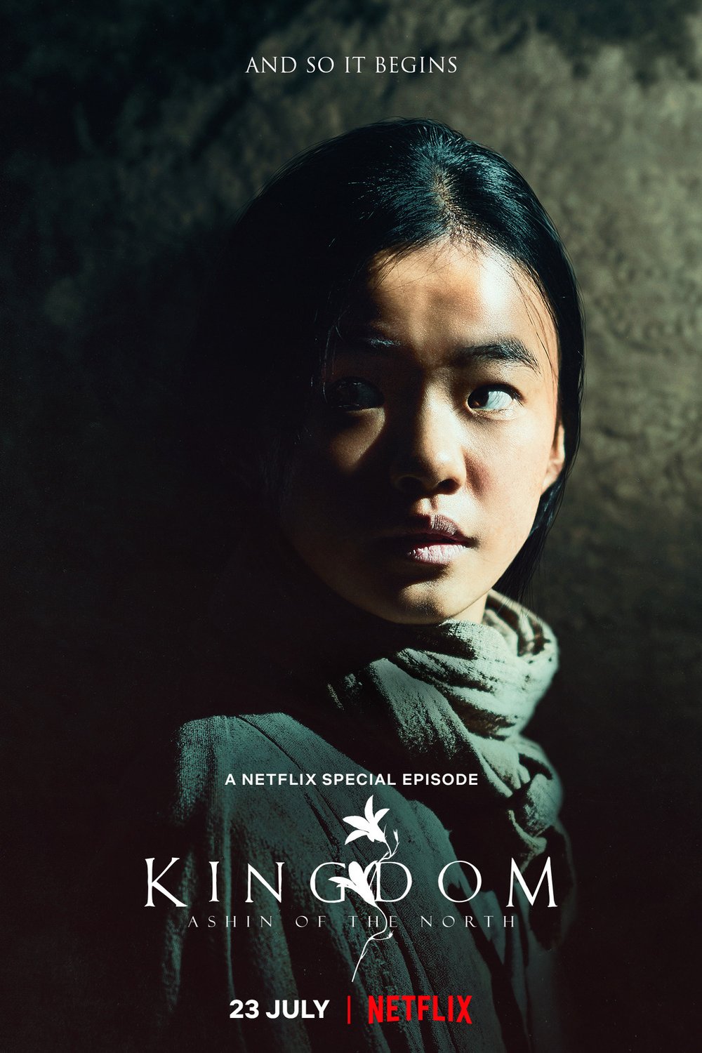 L'affiche du film Kingdom: Ashin of the North