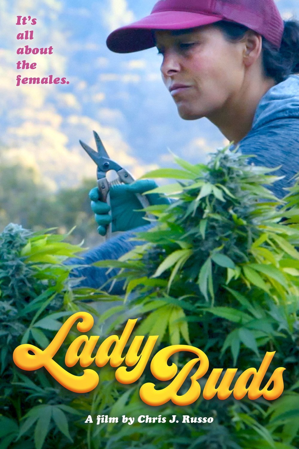 L'affiche du film Lady Buds [2021]