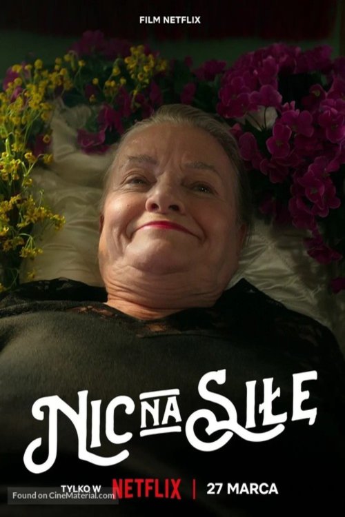 L'affiche du film Nic na sile [2024]