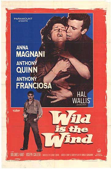 Poster of the movie Wild is the Wind