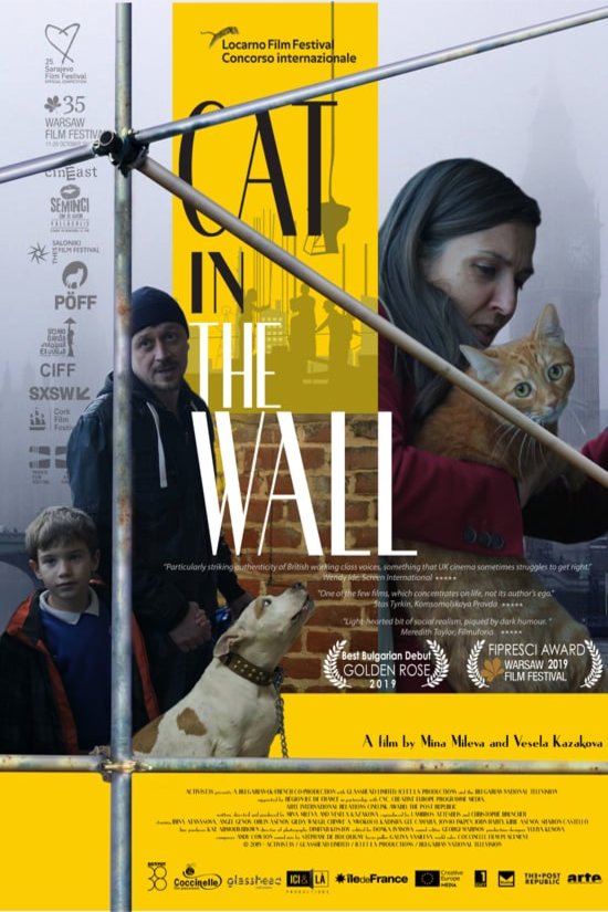 L'affiche du film Cat in the Wall