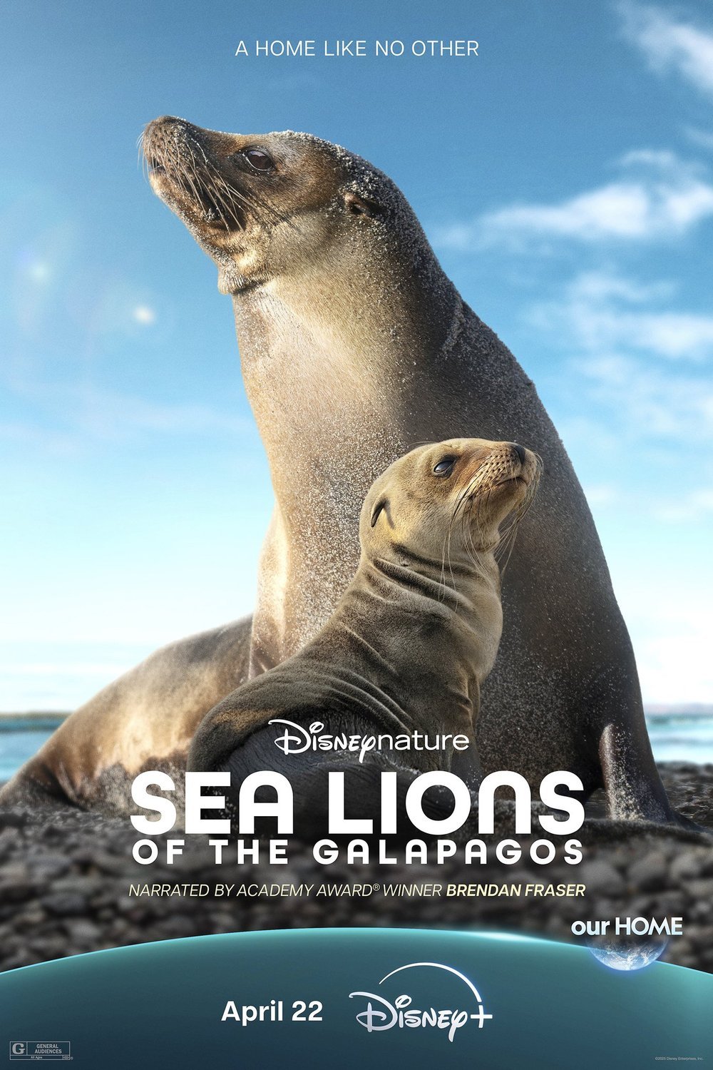 Poster of the movie Sea Lions of the Galapagos
