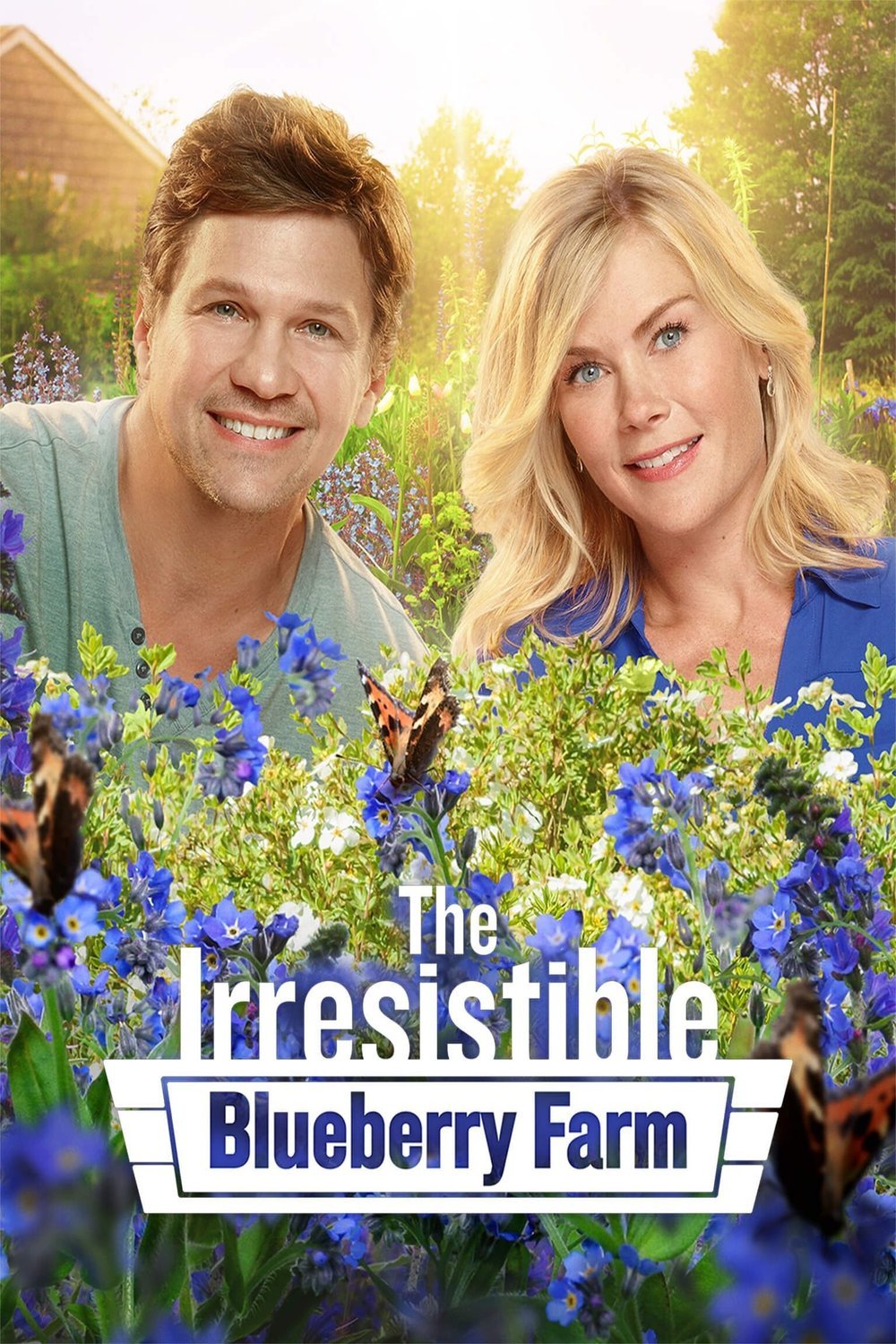 L'affiche du film The Irresistible Blueberry Farm