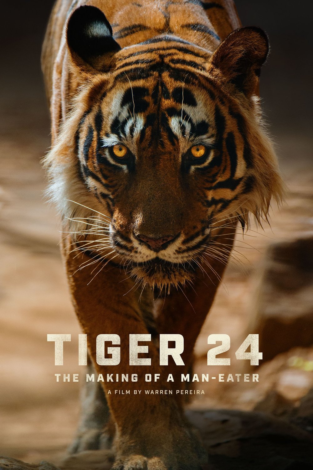 L'affiche du film Tiger 24