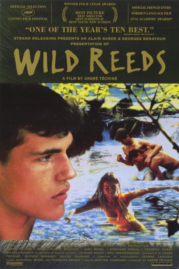 Poster of the movie Wild Reeds