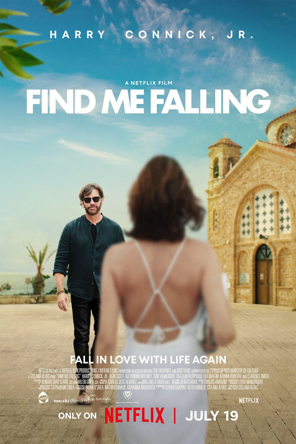 Poster of the movie Find Me Falling [2024]