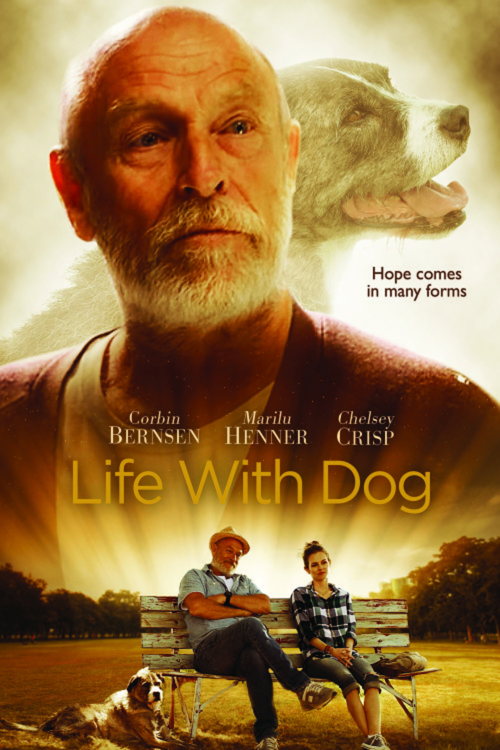 L'affiche du film Life with Dog