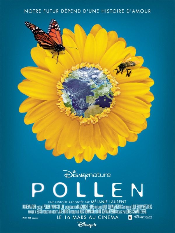 L'affiche du film Pollen