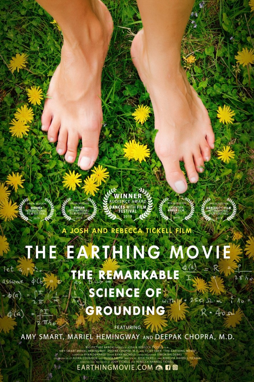 Poster of the movie The Earthing Movie