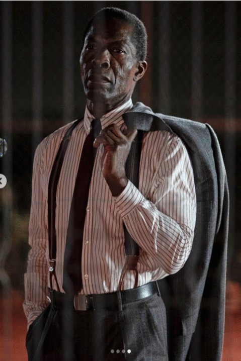 Poster of the movie The Fence