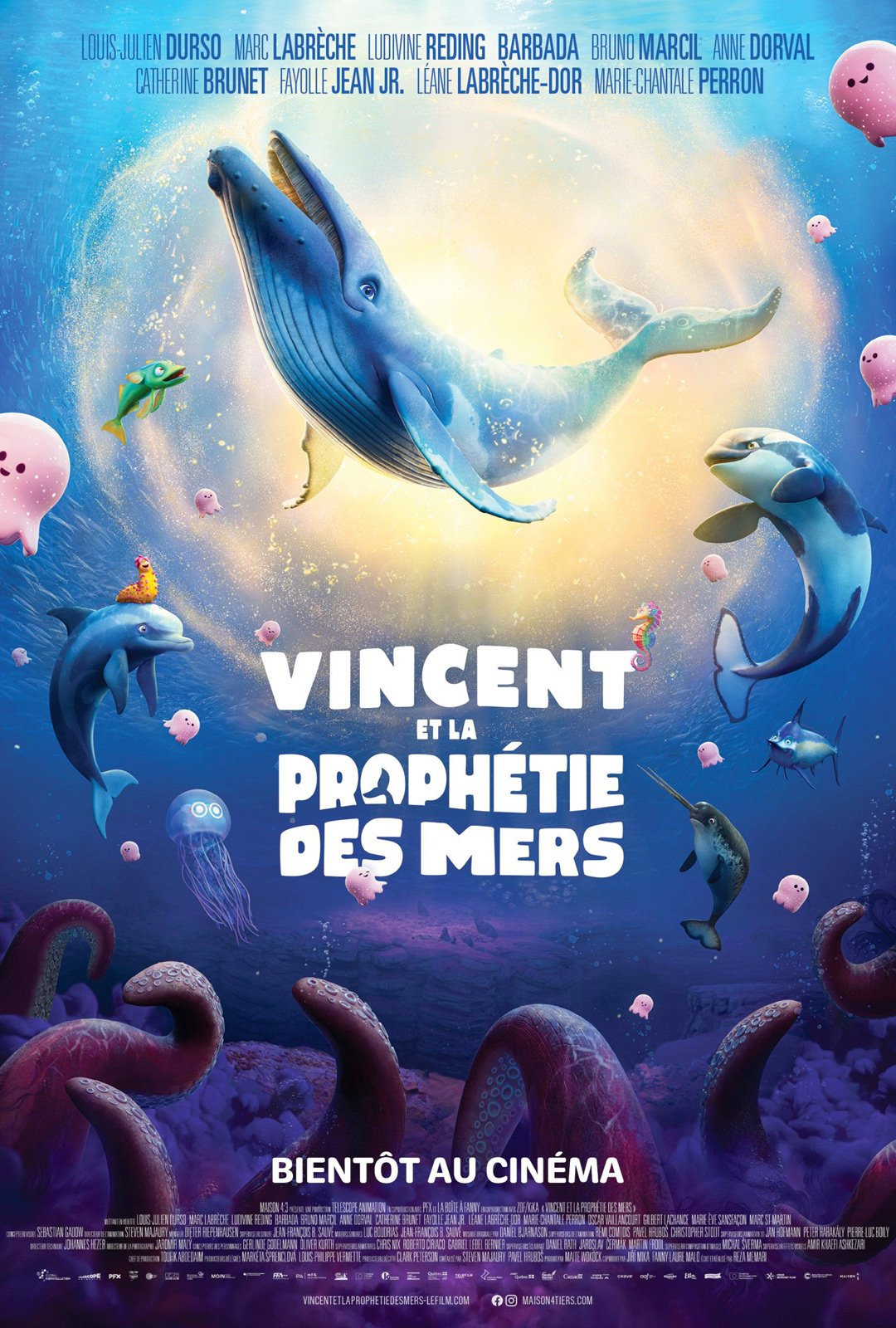 Poster of the movie Vincent et la prophetie des mers