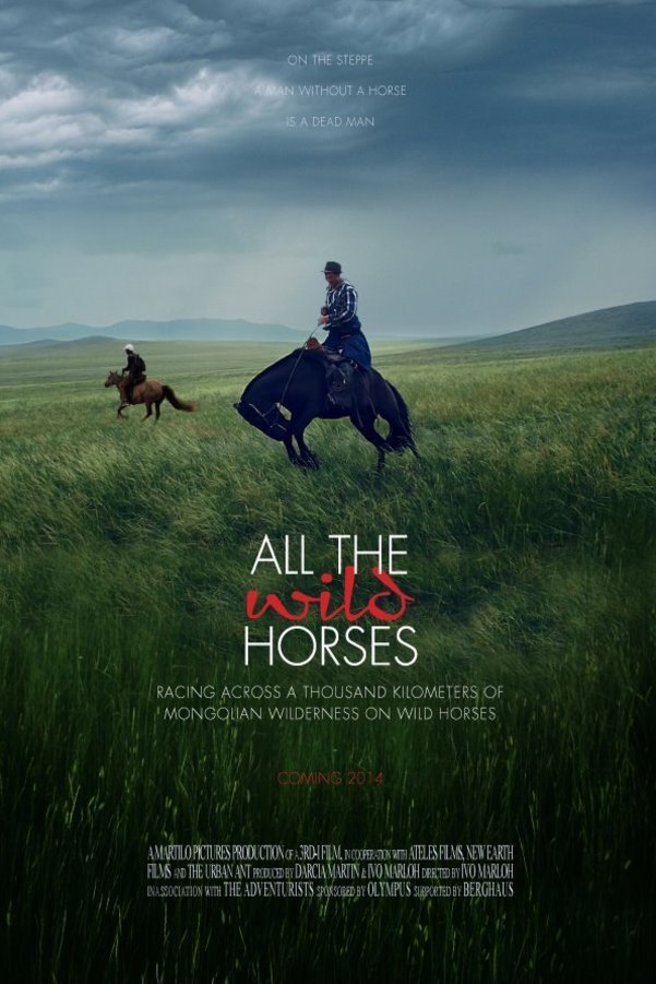 Poster of the movie All the Wild Horses