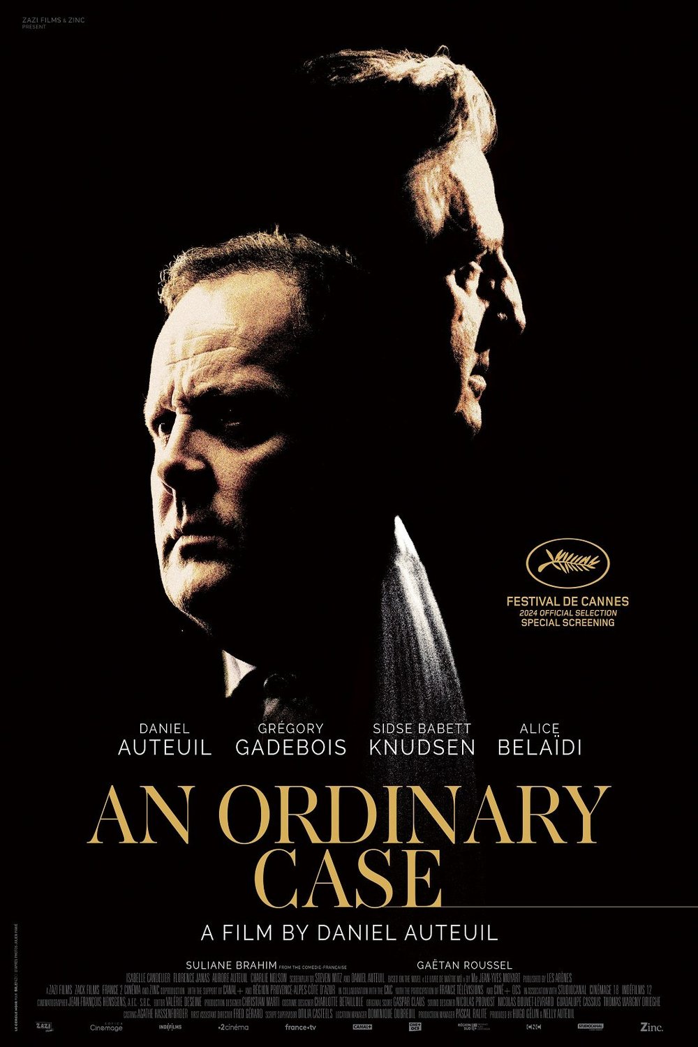 Poster of the movie An Ordinary Case