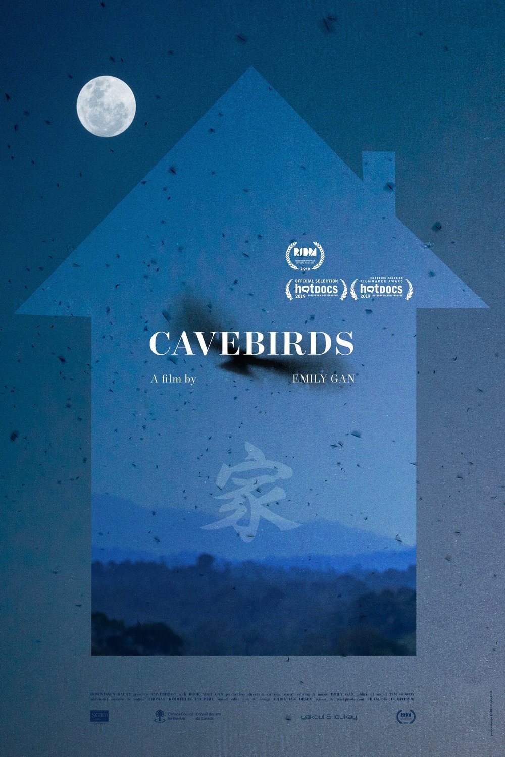 L'affiche originale du film Cavebirds en mandarin