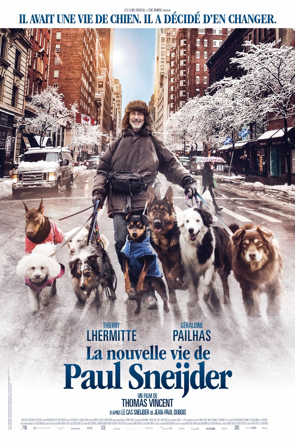 L'affiche du film The New Life of Paul Sneijder