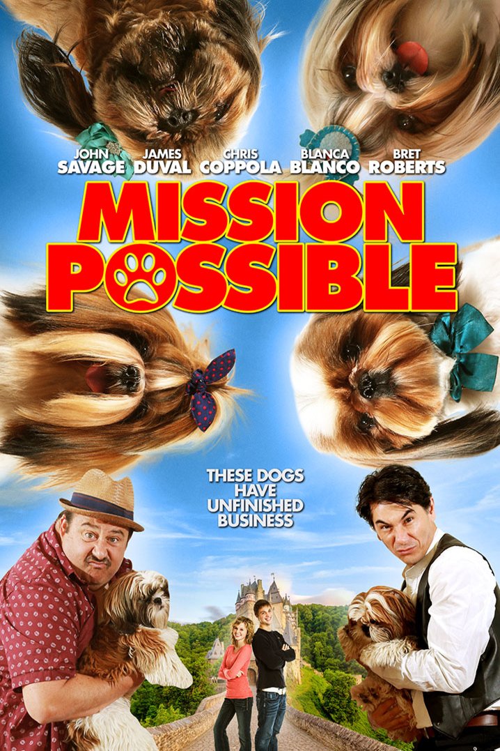 L'affiche du film Mission Possible