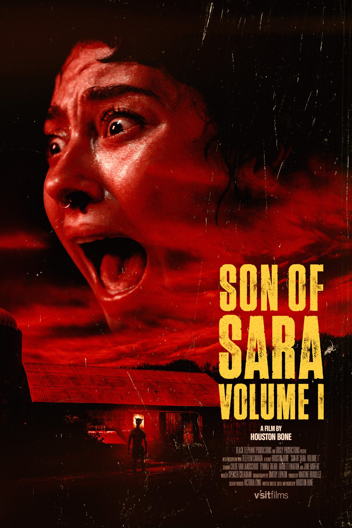 Poster of the movie Son of Sara [2025]