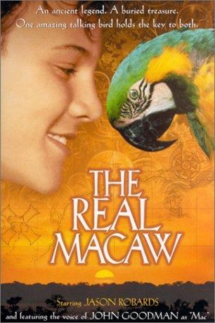 L'affiche du film The Real Macaw
