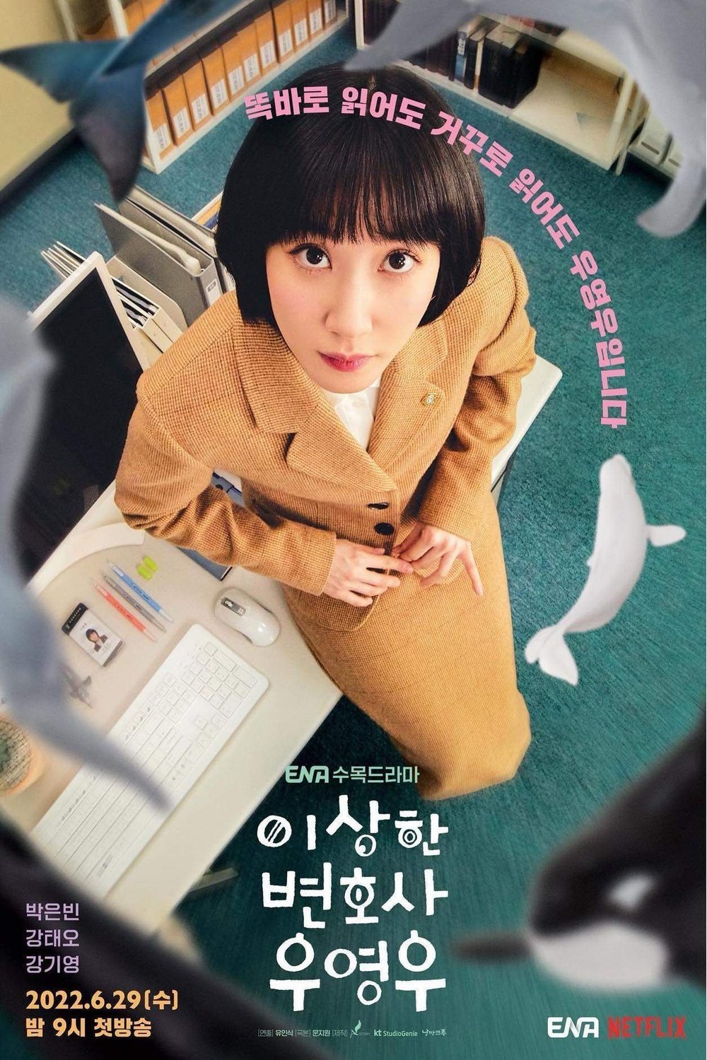 L'affiche originale du film Extraordinary Attorney Woo en coréen